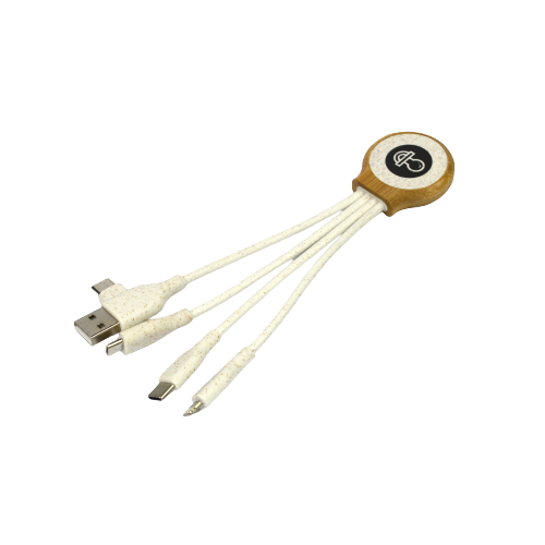 C31 – 3 in 1 cable
